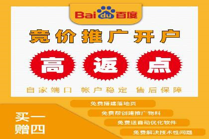 百度竞价排名服务：成功案例解析